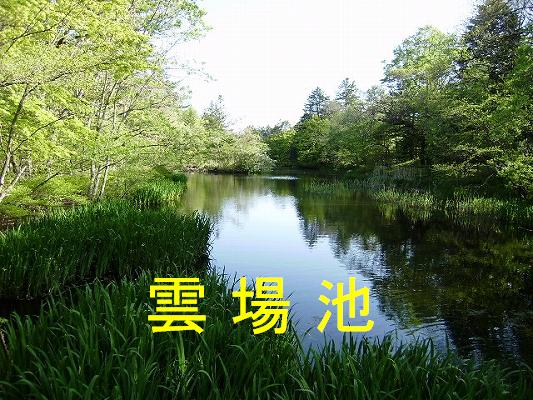 旧軽井沢スポット４