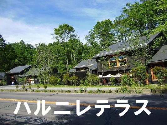 千ヶ滝スポット４