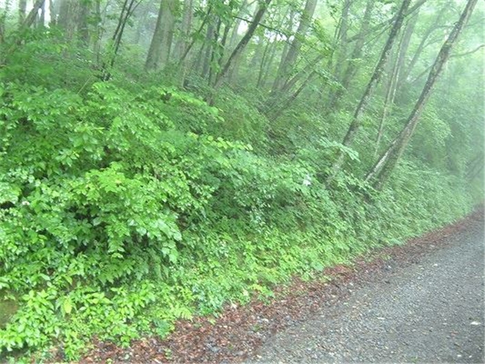 自然の中で暮らす◆三笠パーク別荘地