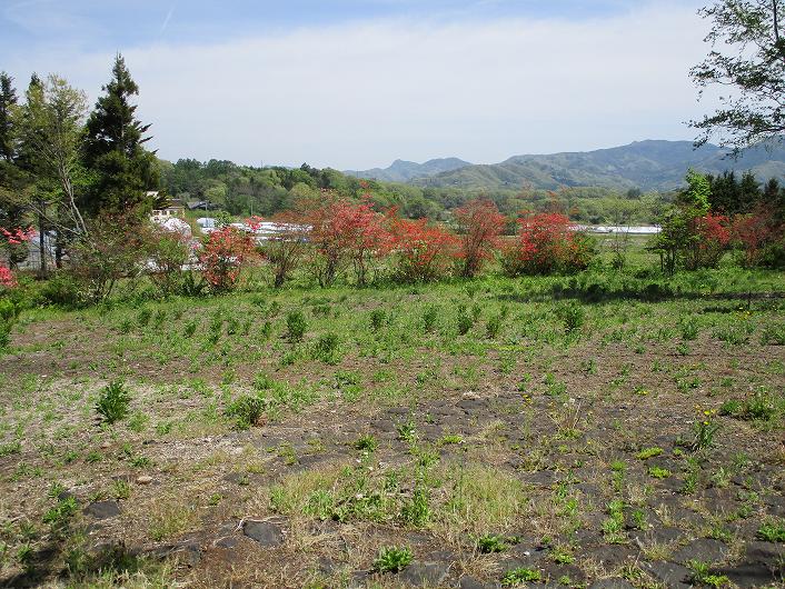日当たりの良い広々とした平坦地「A区画」