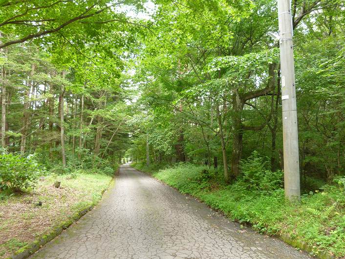 北側国有林に接した閑静な環境