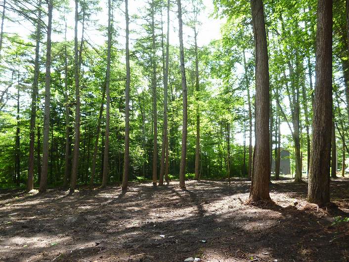Photo6